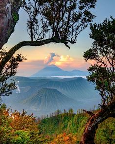 Mount Bromo, Indonesia 🌋 #mountbromo #indonesia #travel #travelphotography #nature #landscape #exploreindonesia #indonesiatravel #bromo #volcano #wonderlust #adventure #beautifuldestinations #naturephotography #getoutside #ig_indonesia #visitindonesia #sunrise #hikingadventures #asia #travelblogger #photography #scenicviews #travelinspiration #wanderlust Mount Bromo, G Adventures, Beautiful Places To Travel, Nature Landscape, Get Outside, Scenic Views, Volcano, Beautiful Destinations, Travel Blogger