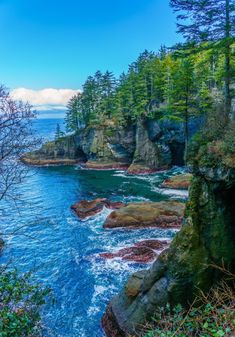 an ocean view with rocks and trees in the foreground