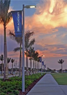 palm trees line the walkway leading to an oceanfront park at sunset or dawn in florida