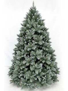 a green christmas tree with snow on the top and bottom branches, in front of a white background