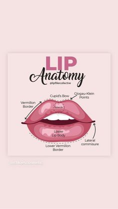 Tirzepatide Results, Lip Anatomy, Dermatology Aesthetic, Botox Quotes, Facial Injections, Lip Permanent Makeup, Lip Blushing, Lips Inspiration, Aesthetic Nurse