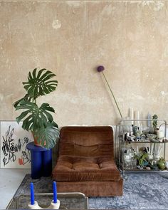 a living room filled with furniture and a potted plant