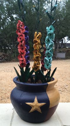 three colorful flowers in a pot on the ground