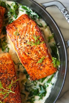 salmon with cream sauce and herbs in a pan