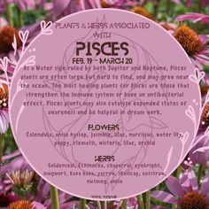 Herbs For Pisces, Herbs Of Pisces, Pisces Herbs, Pisces Witch Aesthetic, February Magick