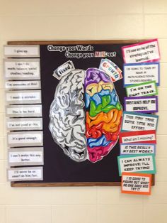 a bulletin board with the words brain on it and two different sections of the human body