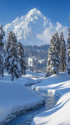 snow covered trees and water in front of a snowy mountain range with a river running through it