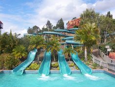 a large pool with water slides and palm trees