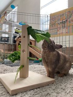 a small rabbit is playing with a toy