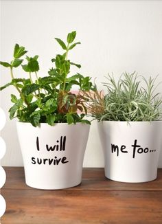 two white planters with plants in them that say i will survive and me too