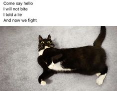 a black and white cat laying on the floor with its paw up to it's face