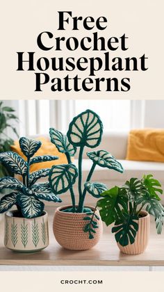 three potted plants with text overlay that reads free crochet houseplant patterns