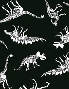 an image of dinosaur skeleton designs on black background