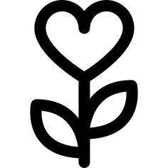 a heart shaped plant with leaves