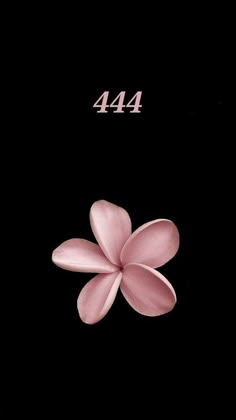 a pink flower on a black background with the words 444 written below it in white