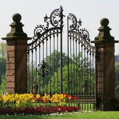 an iron gate with flowers in the foreground