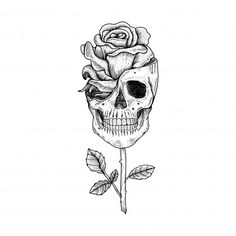 a drawing of a skull and a rose