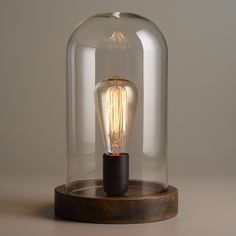 a light bulb under a glass dome on a wooden stand with a wood base and metal fittings