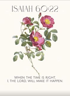 a pink rose with green leaves and the words, when the time is right, i the lord will make it happen