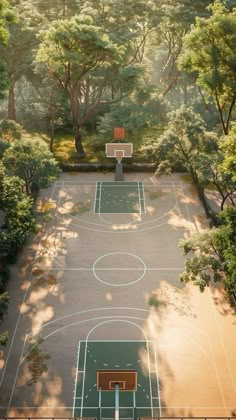 an aerial view of a basketball court surrounded by trees