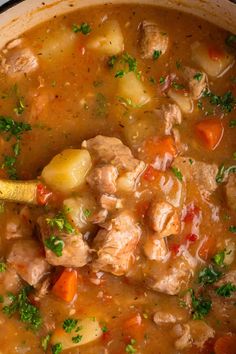 a pot filled with meat and vegetable soup