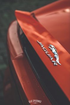 the hood ornament on an orange sports car