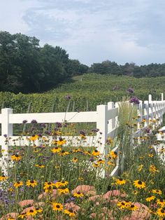 a white picket fence surrounded by wildflowers