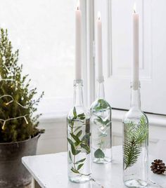 three bottles filled with plants sitting on top of a table