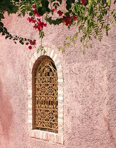 an image of a window on the side of a building with flowers growing out of it