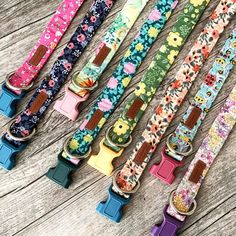 colorful dog collars lined up on a wooden table