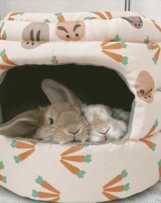 a bunny and a rabbit are laying in a small bed with carrots on it