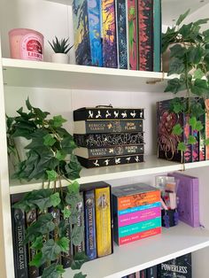 some books and plants are sitting on the shelves