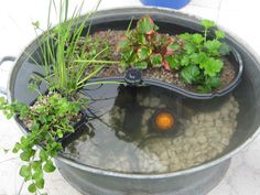 a potted planter filled with plants and rocks in the middle of a pond