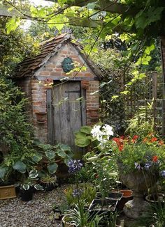 an outdoor garden with lots of plants and flowers