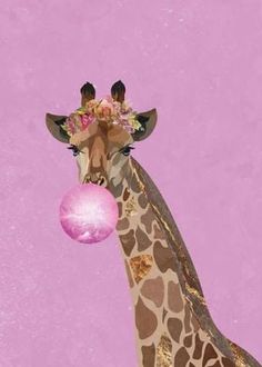 a giraffe with a pink ball in its mouth and flowers on it's head