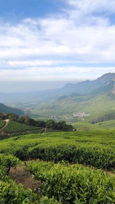 a lush green field with mountains in the background