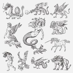 the zodiac signs and their meaningss in black and white stock photo, royalty illustration