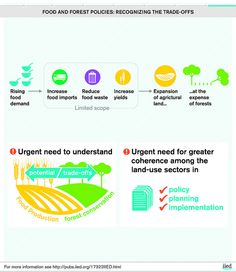 an info sheet describing the different types of food and how they are made from it