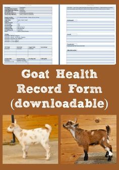 goat health record form with pictures of goats and text that reads goat health record form