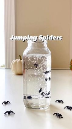 a jar filled with water and lots of small black spideres on top of it