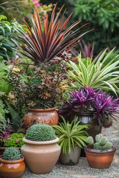 many different types of plants in pots on the ground