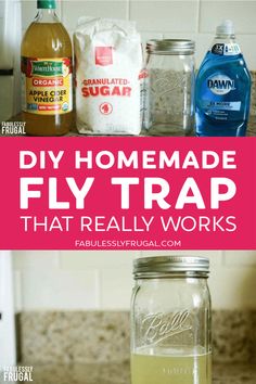 homemade fly trap that really works in the kitchen and is easy to make with just 3 ingredients