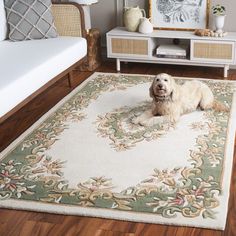 a dog laying on top of a rug in a living room