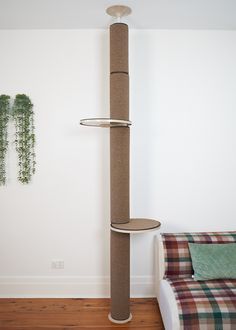 a room with a cat tree, couch and wall hanging plant on the wall next to it