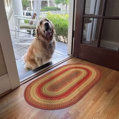 a dog is sitting on the front door mat