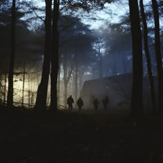 three people are walking through the woods in the foggy night with their backpacks on