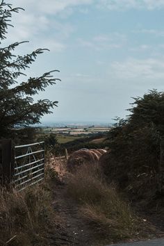 a dirt path leading to a gate on the side of a hill with trees in the foreground