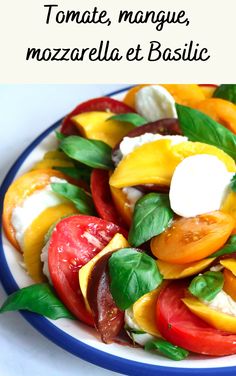 a plate with tomatoes, cheese and basil on it