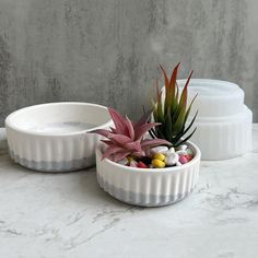 two white bowls with plants in them on a marble countertop next to each other