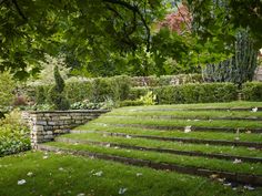 an outdoor garden with stone steps and green grass